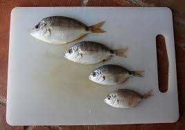 tamaños